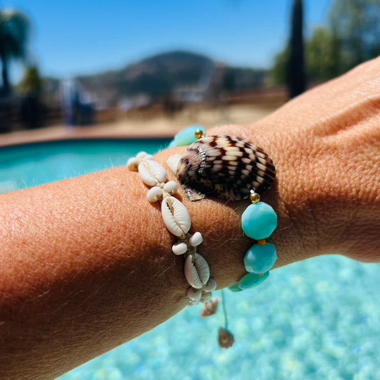 Calico Scallop shell + Amazonite slide bracelet
